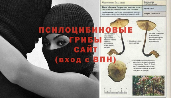 сатива Алексин