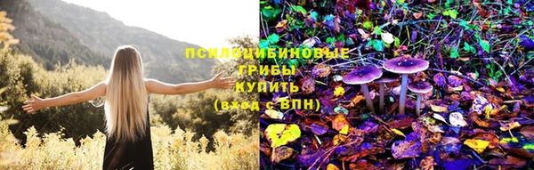 каннабис Алексеевка