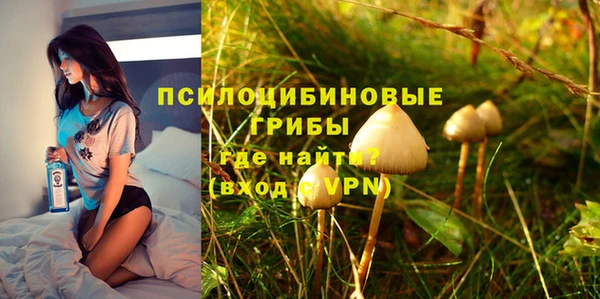 сатива Алексин