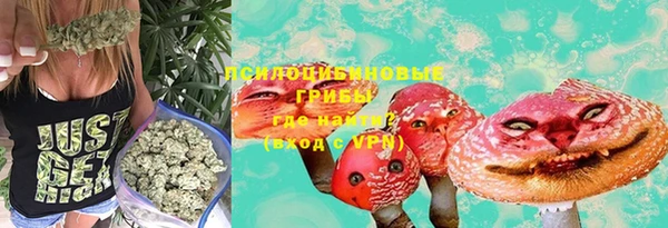 spice Алзамай