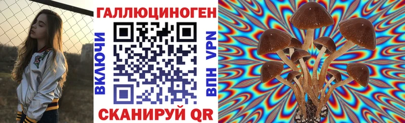 где можно купить   Удачный  блэк спрут зеркало  Псилоцибиновые грибы Magic Shrooms 