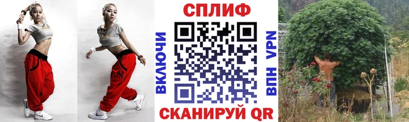 Канабис гибрид  Удачный 